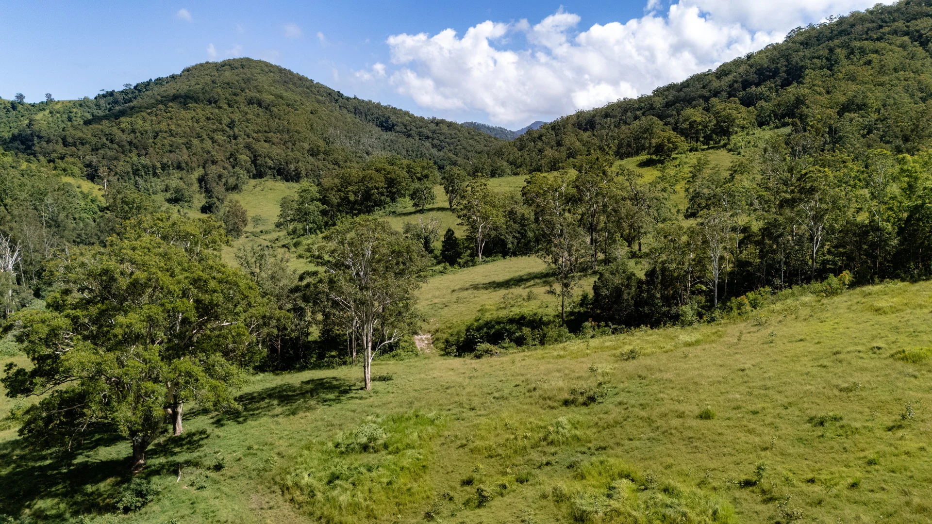 Additional image 14 of 382 Norwood Lane, Mount George NSW 2424