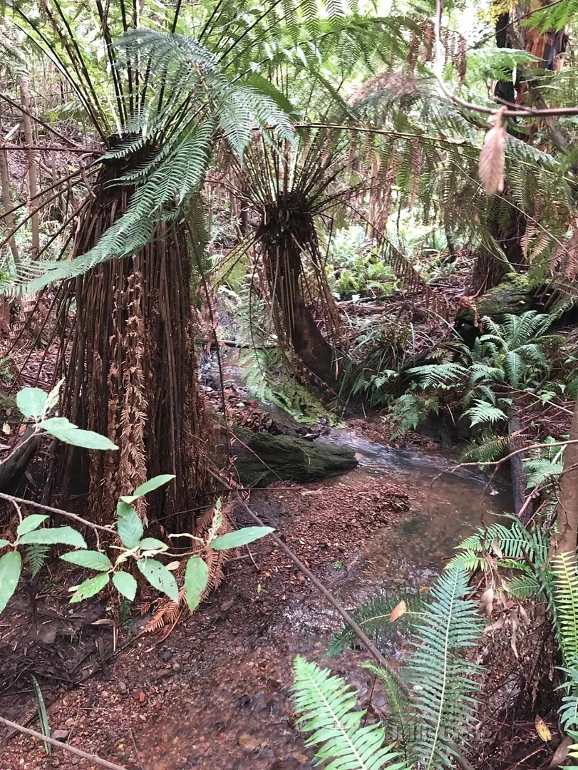 Additional image 6 of 355 Ninks Road, St Andrews VIC 3761