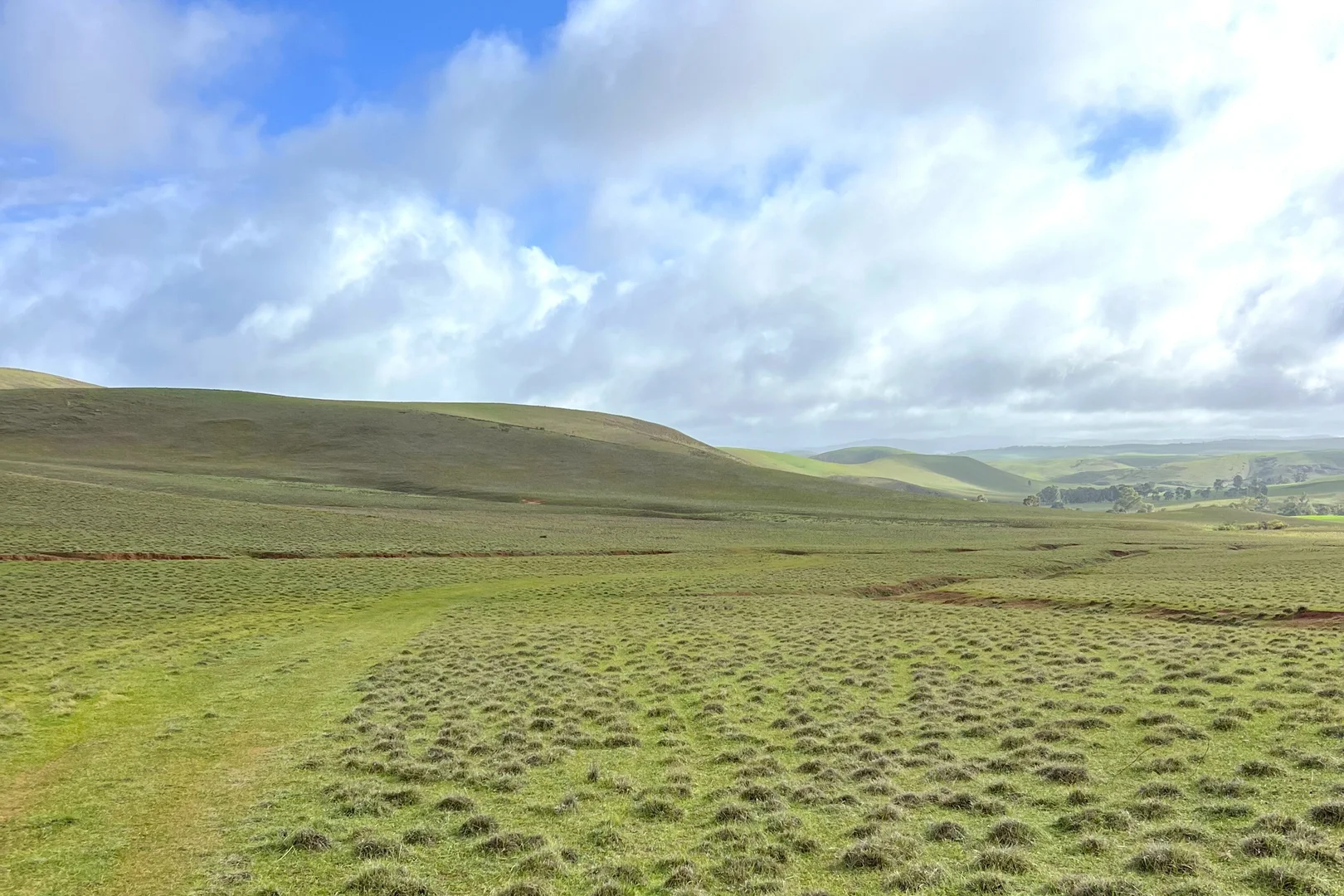 Additional image 20 of 'Broughton Valley' 1 Euromina Road, Broughton River Valley SA 5454