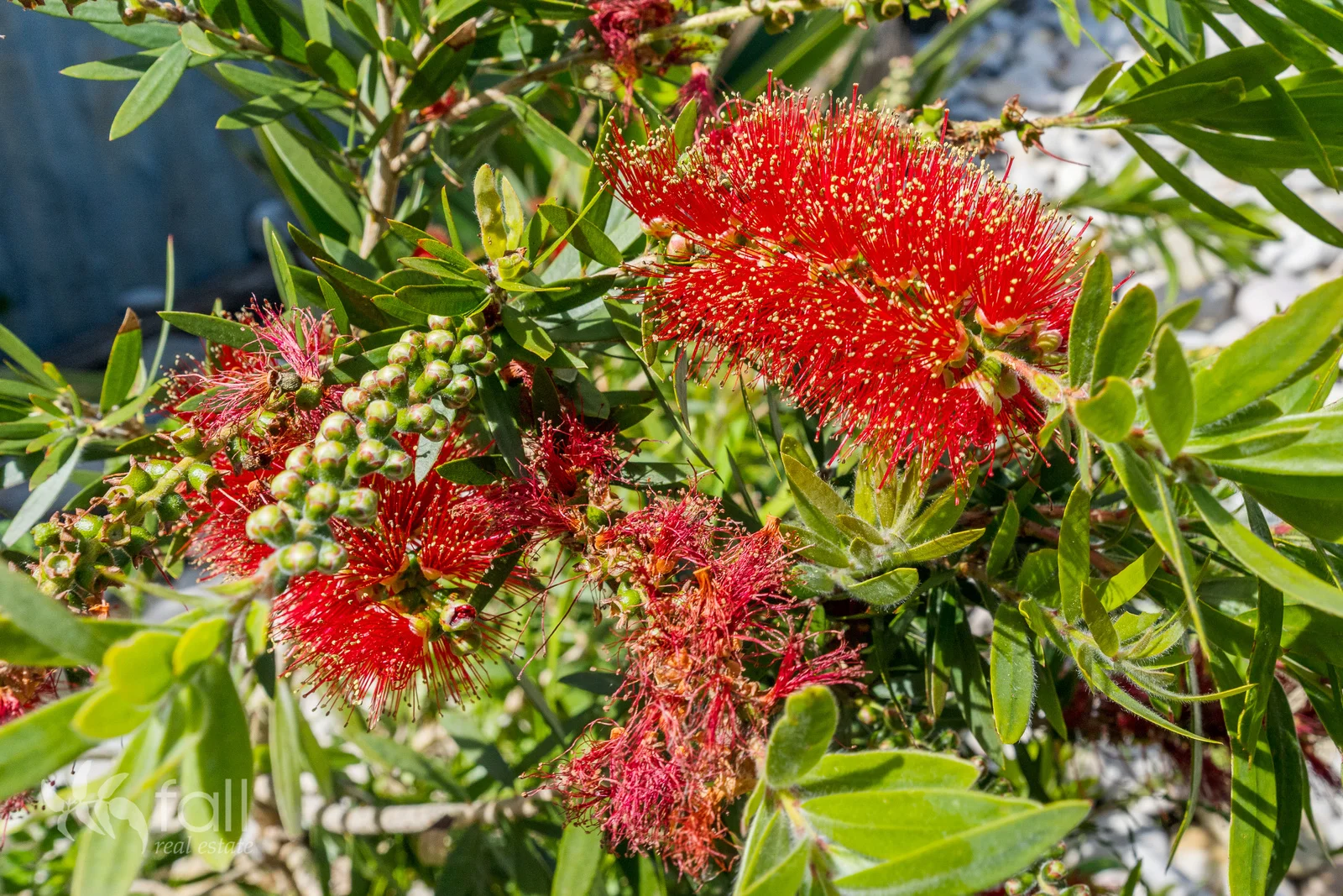Additional image 29 of 45 Pipe Clay Esplanade, Cremorne TAS 7024