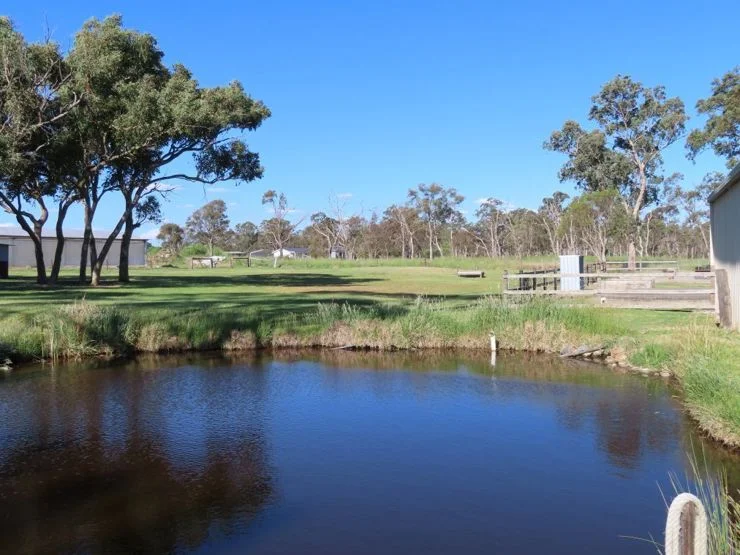 Additional image 5 of 4 Curran Lane, Applethorpe QLD 4378