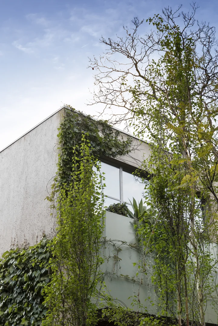 Additional image 16 of 114 Millswyn Street, South Yarra VIC 3141