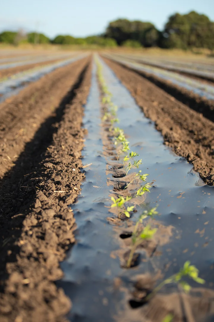 Additional image 6 of 37 Inveroona Road, Bowen QLD 4805