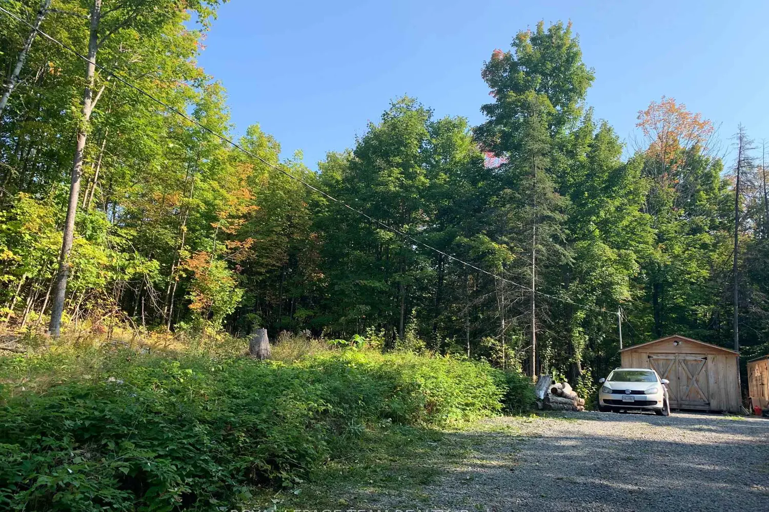 Additional image 4 of 2614 Hass Road