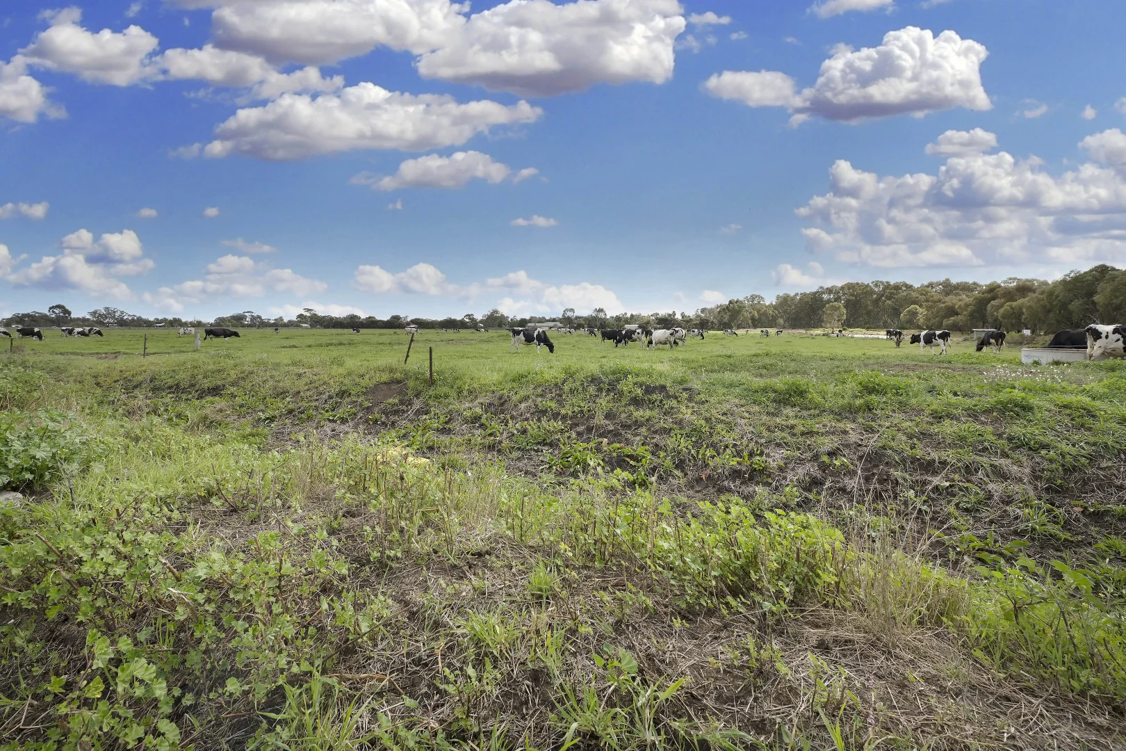 Additional image 34 of 5536A Murray Valley Highway, Swan Hill VIC 3585