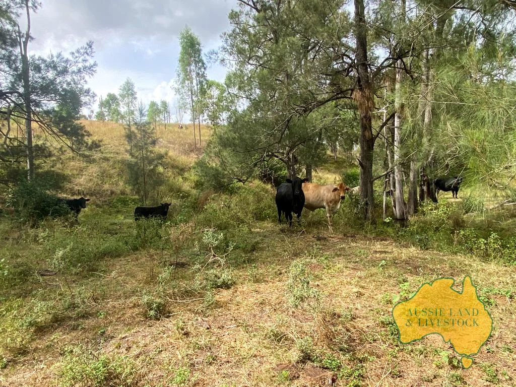 Additional image 11 of 59 MUNGY ROAD, Mungy QLD 4671