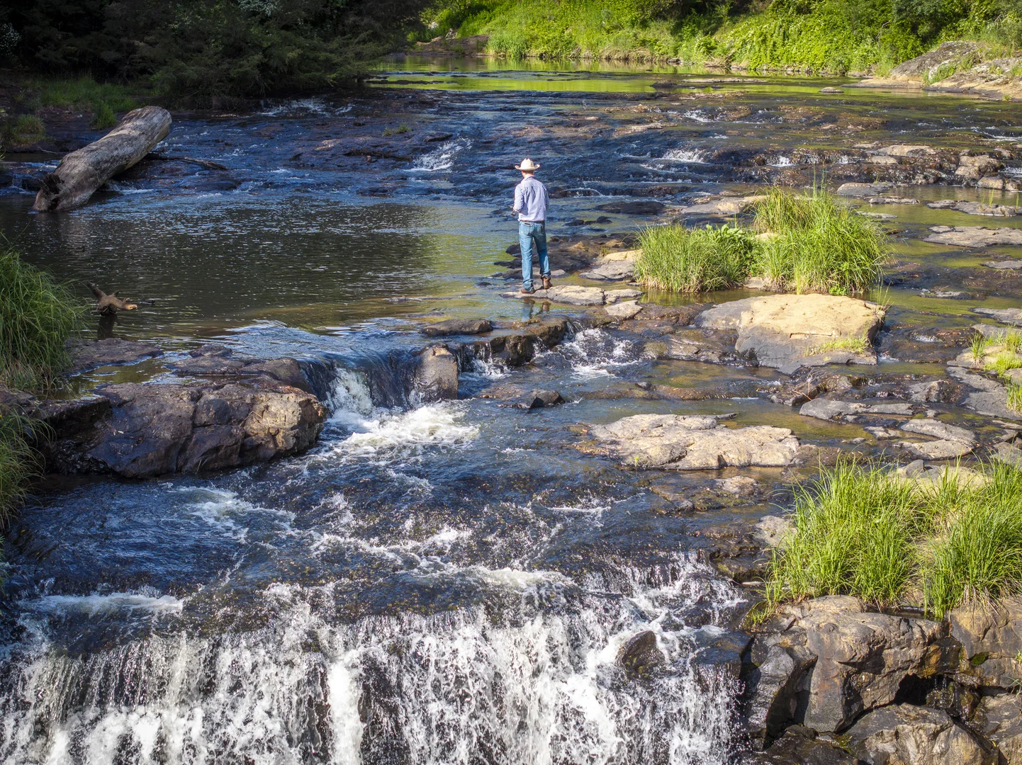 Additional image 2 of 294 Coramba Road, Dorrigo NSW 2453