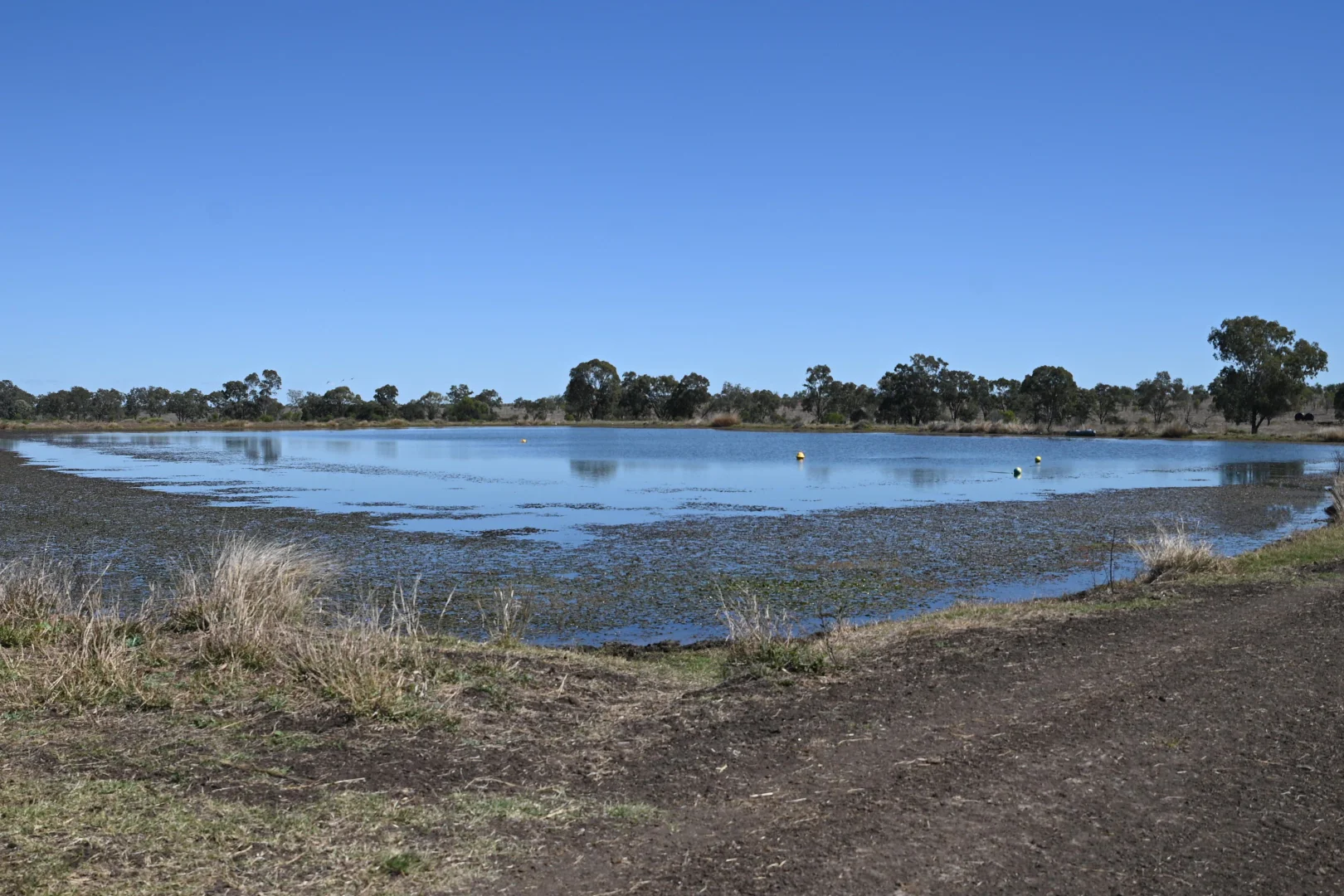 Additional image 10 of 102 Lowestoff Road, Capella QLD 4723