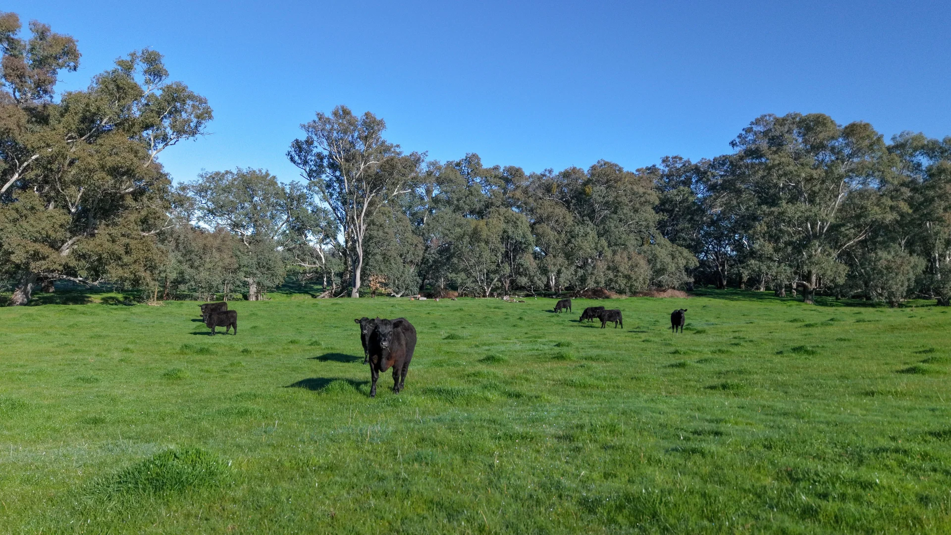 Additional image 3 of 40 Crosses Road, Indigo Valley VIC 3688