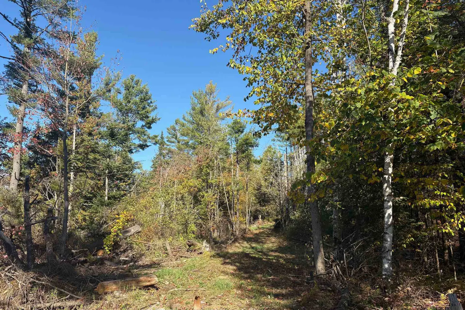 Additional image 14 of N/A Twin Sister Lakes Road