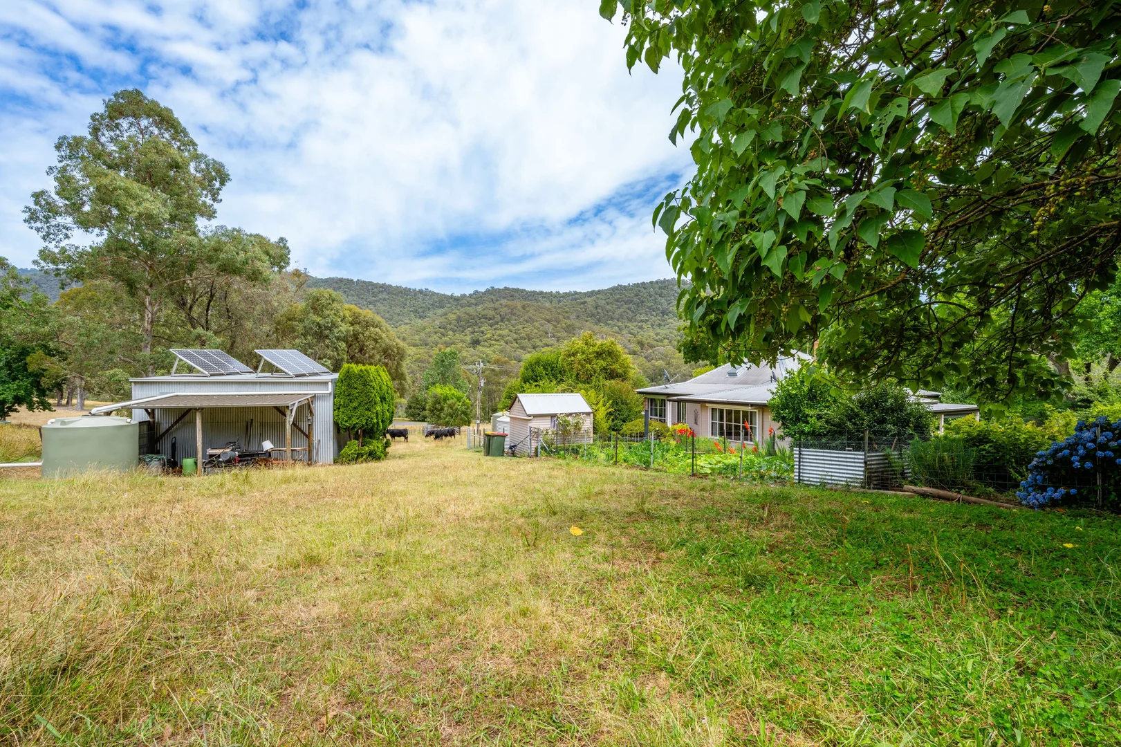 Additional image 42 of 585 Kancoona South Rd, Kancoona VIC 3691