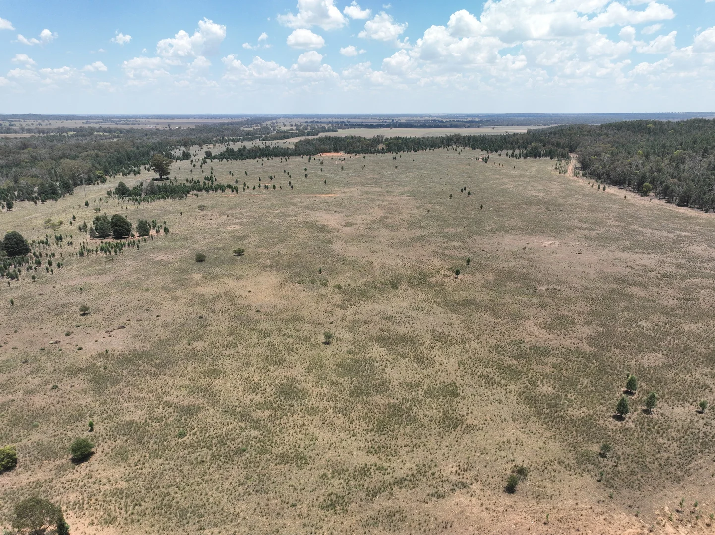 Additional image 7 of 'Illapa' 238L Narromine Road, Dubbo NSW 2830
