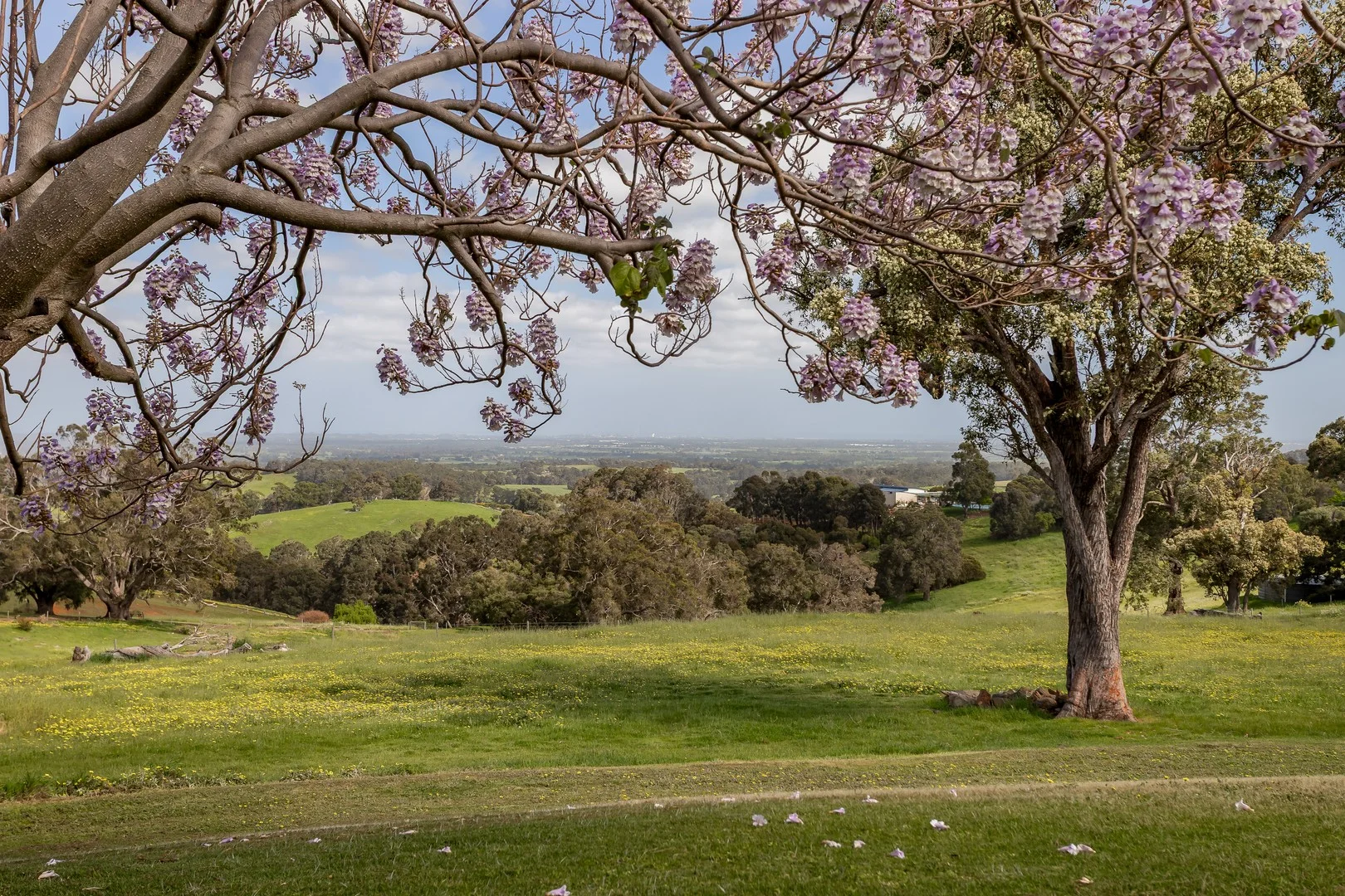 Additional image 2 of 6 Nyleeta Close, Ferguson WA 6236