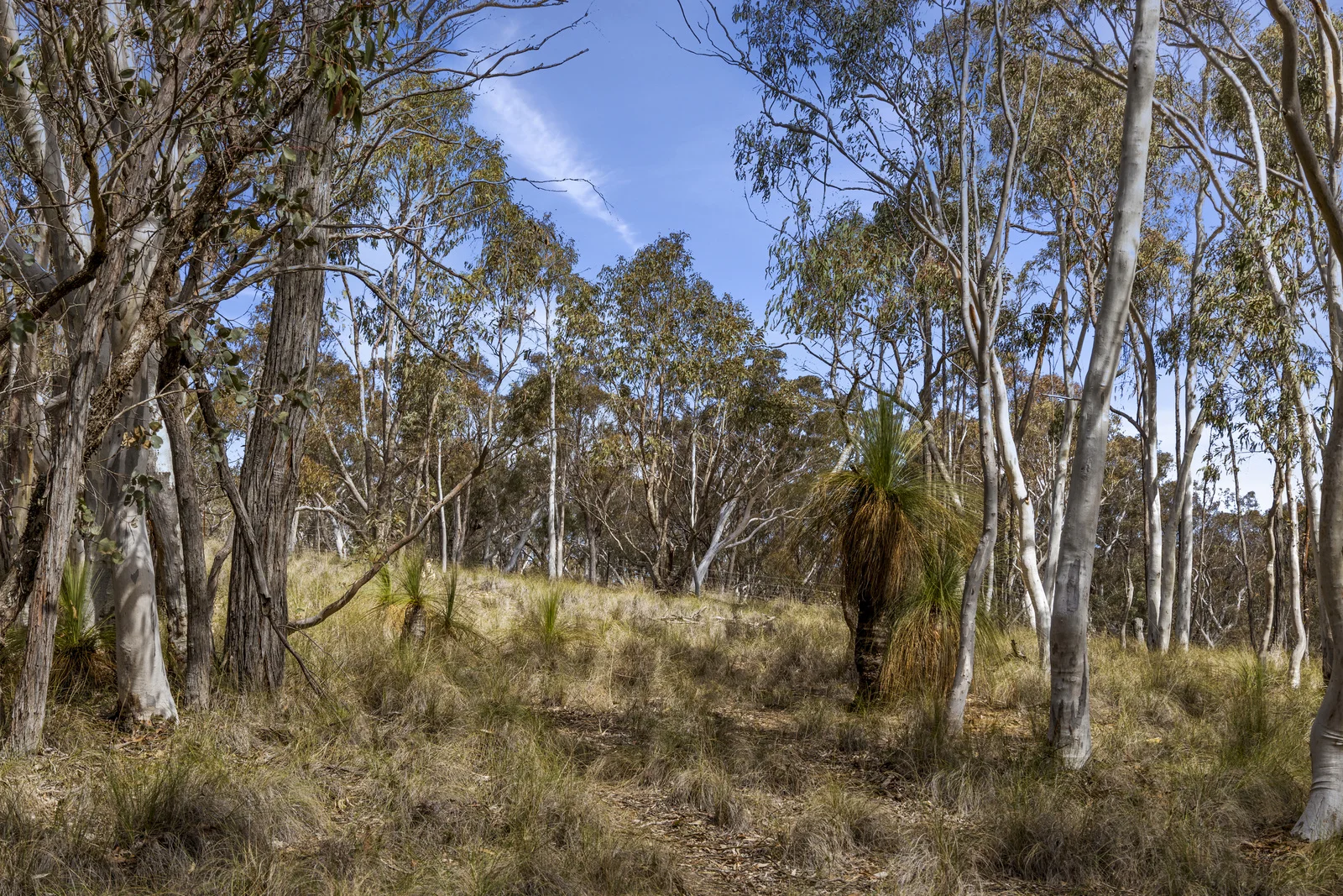 Additional image 26 of 512 Dicks Creek Road, Nanima NSW 2582
