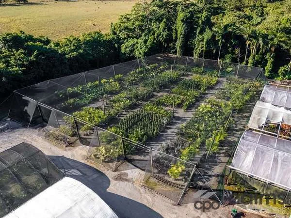 Additional image 12 of 15 Ross Road, Deeral QLD 4871