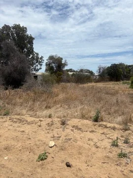 125 Alexander Drive, Glenfield WA 6532