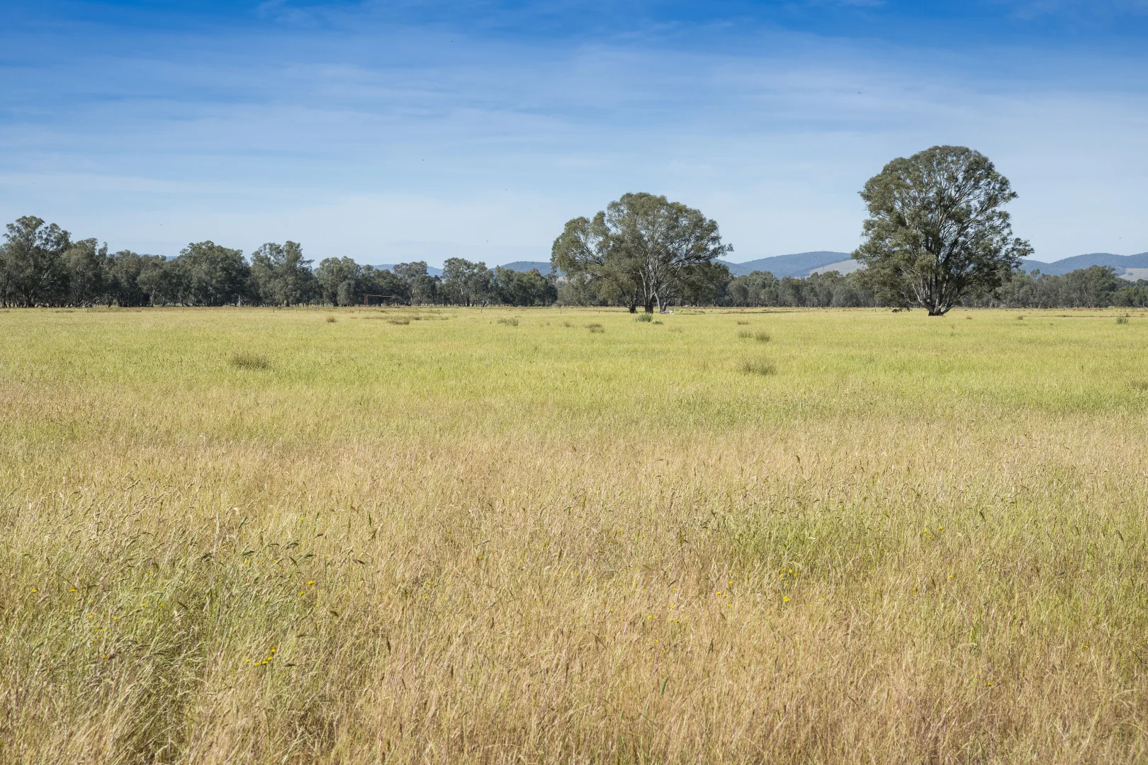 Additional image 7 of CA29A Baddaginnie-Benalla Road, Baddaginnie VIC 3670