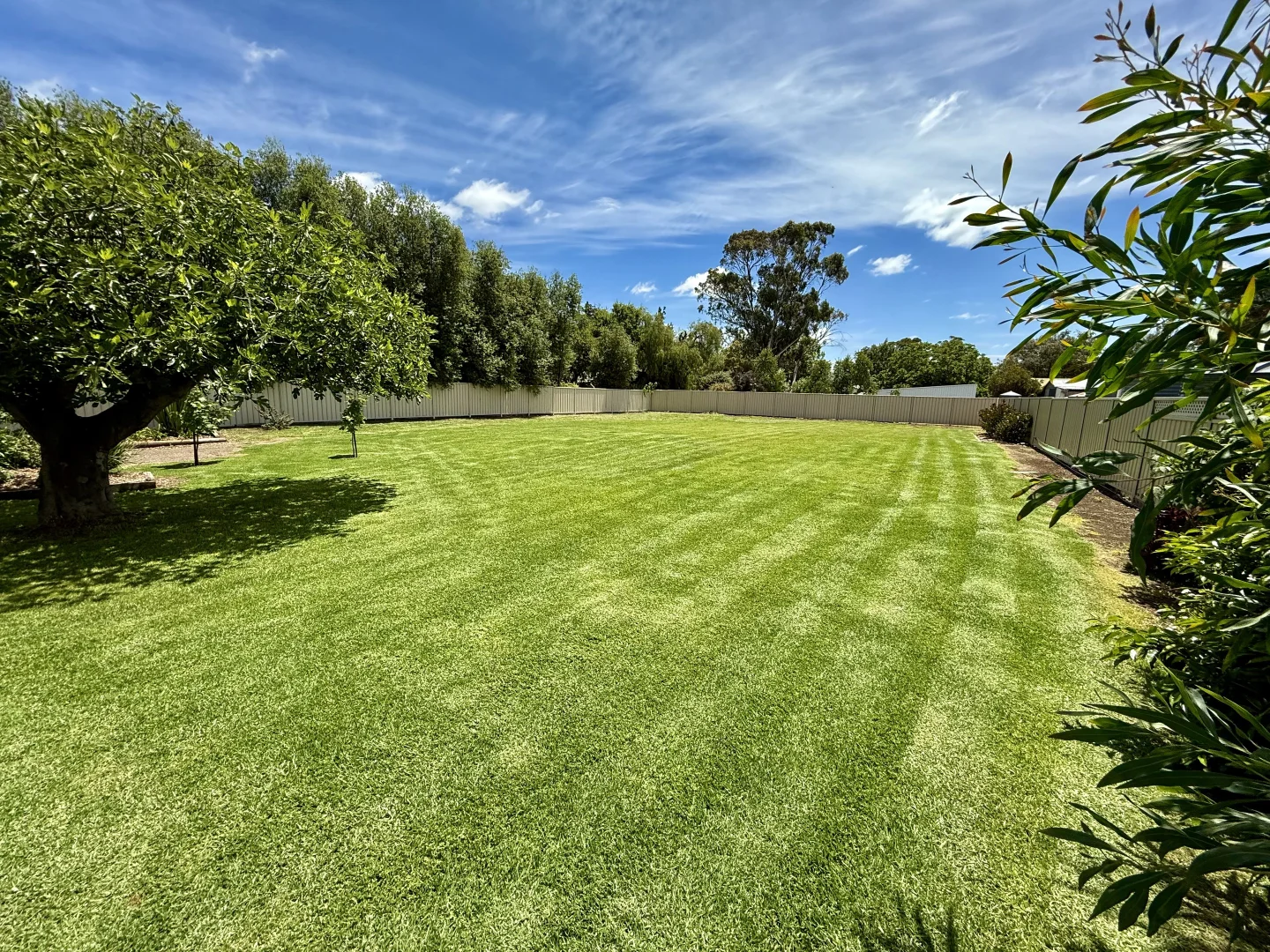 Additional image 16 of 1 Riddoch, Penola SA 5277