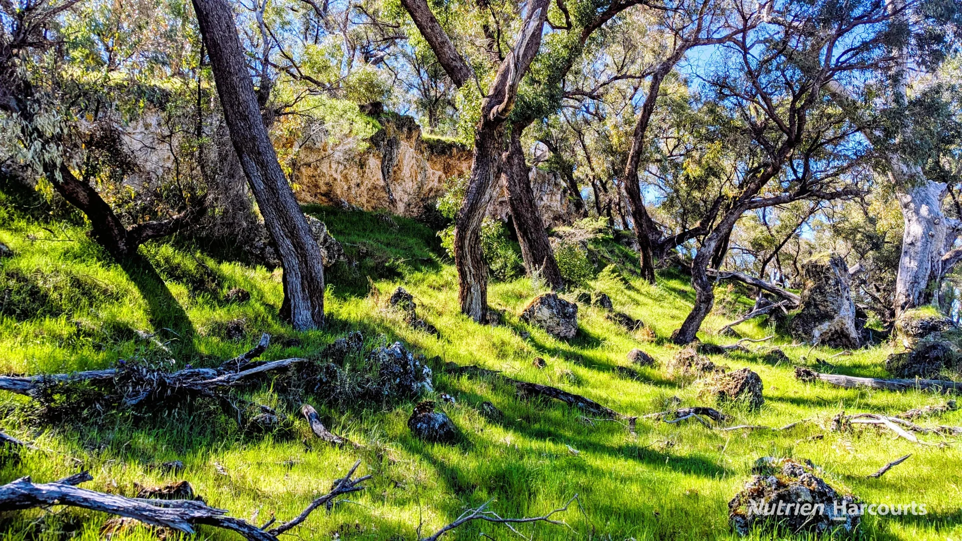 Additional image 4 of Lot 51 Millbank Road, Cowalla WA 6503