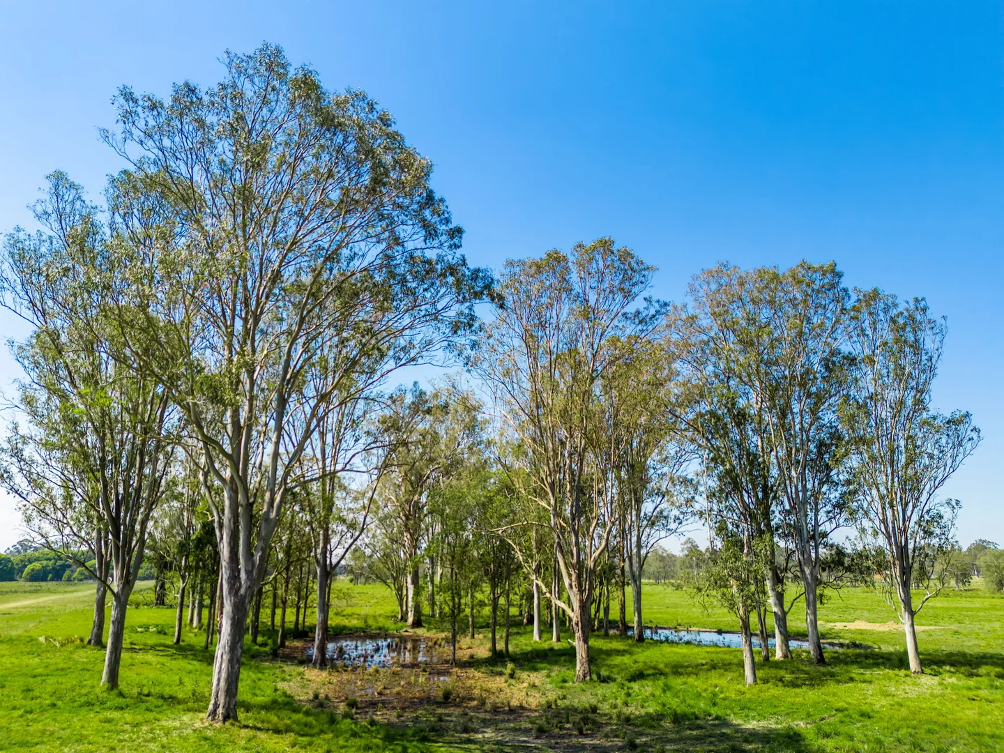 Additional image 35 of 160 Busbys Flat Road, Leeville NSW 2470
