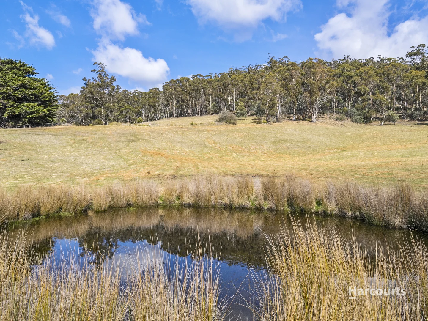 Additional image 3 of Lot 1/4115 Tasman Highway, Runnymede TAS 7190