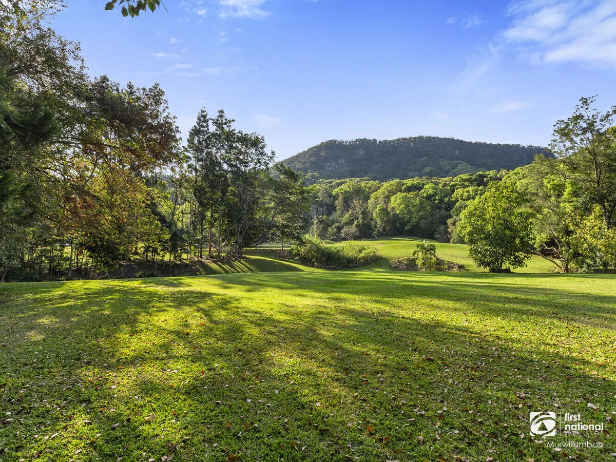 Additional image 39 of 39 Solomons Road, Mount Warning NSW 2484