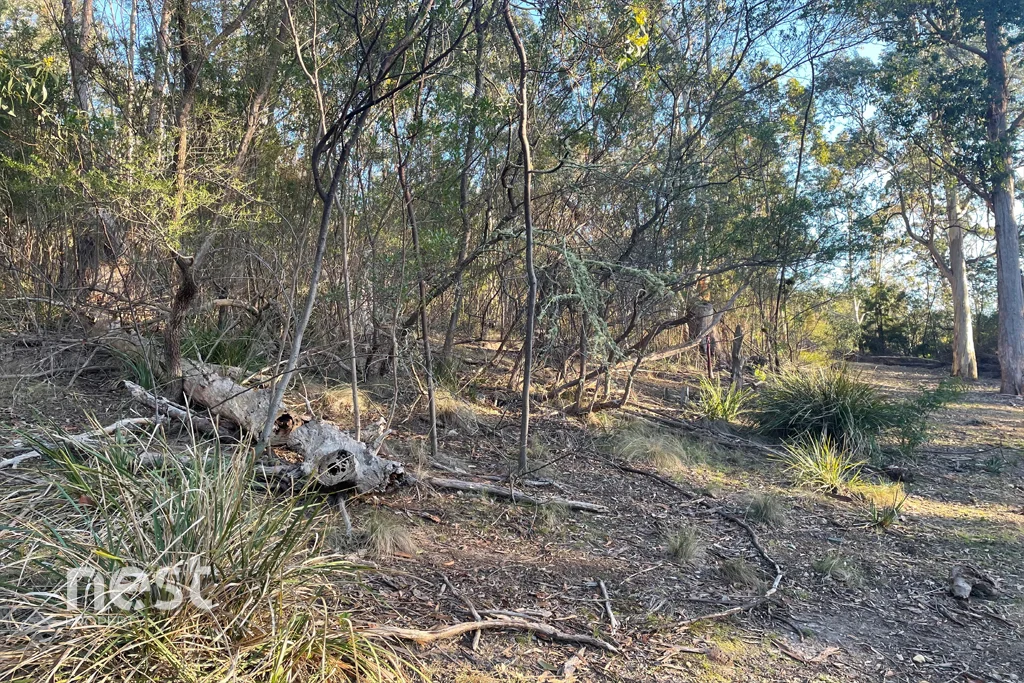 Additional image 9 of 31 Stewart Crescent, Taroona TAS 7053