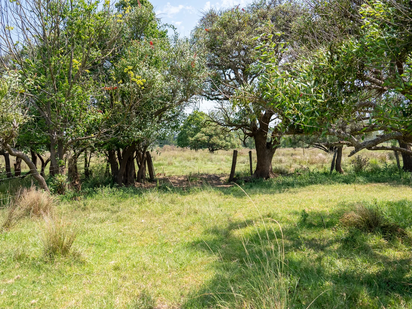 Additional image 10 of 279 Gundurimba Road, Monaltrie NSW 2480