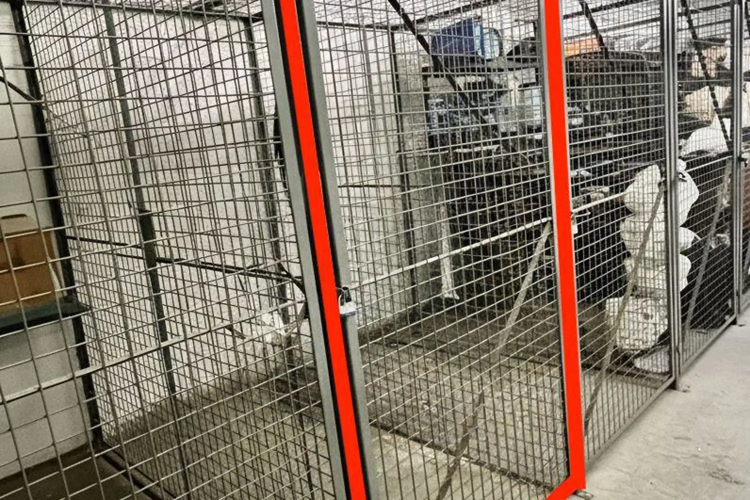 Additional image 13 of 3 Everson Drive 530