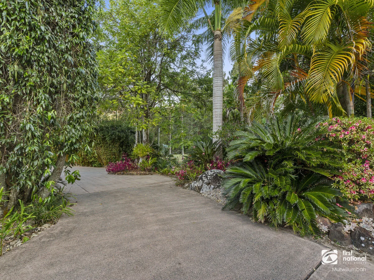 Additional image 50 of 39 Solomons Road, Mount Warning NSW 2484