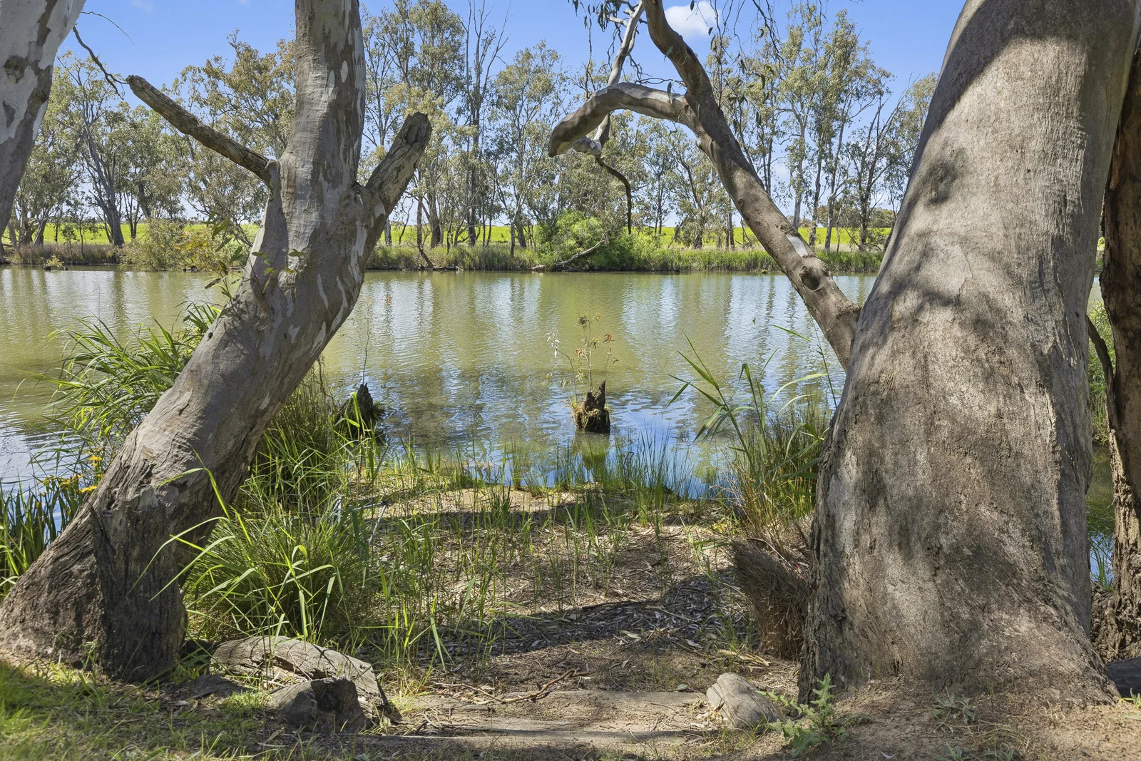 Additional image 36 of 47 Wattlevale Road, Nagambie VIC 3608