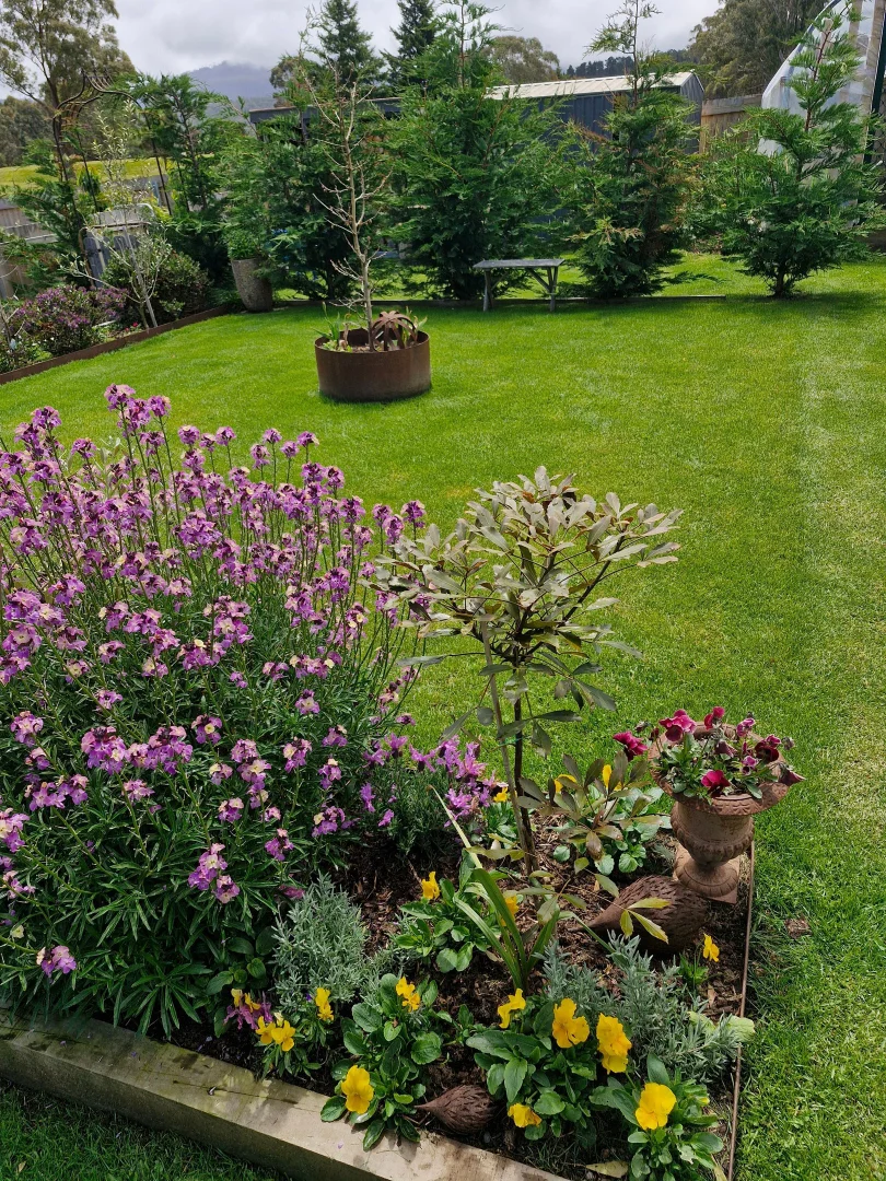 Additional image 3 of 41 Gray Road, St Marys TAS 7215