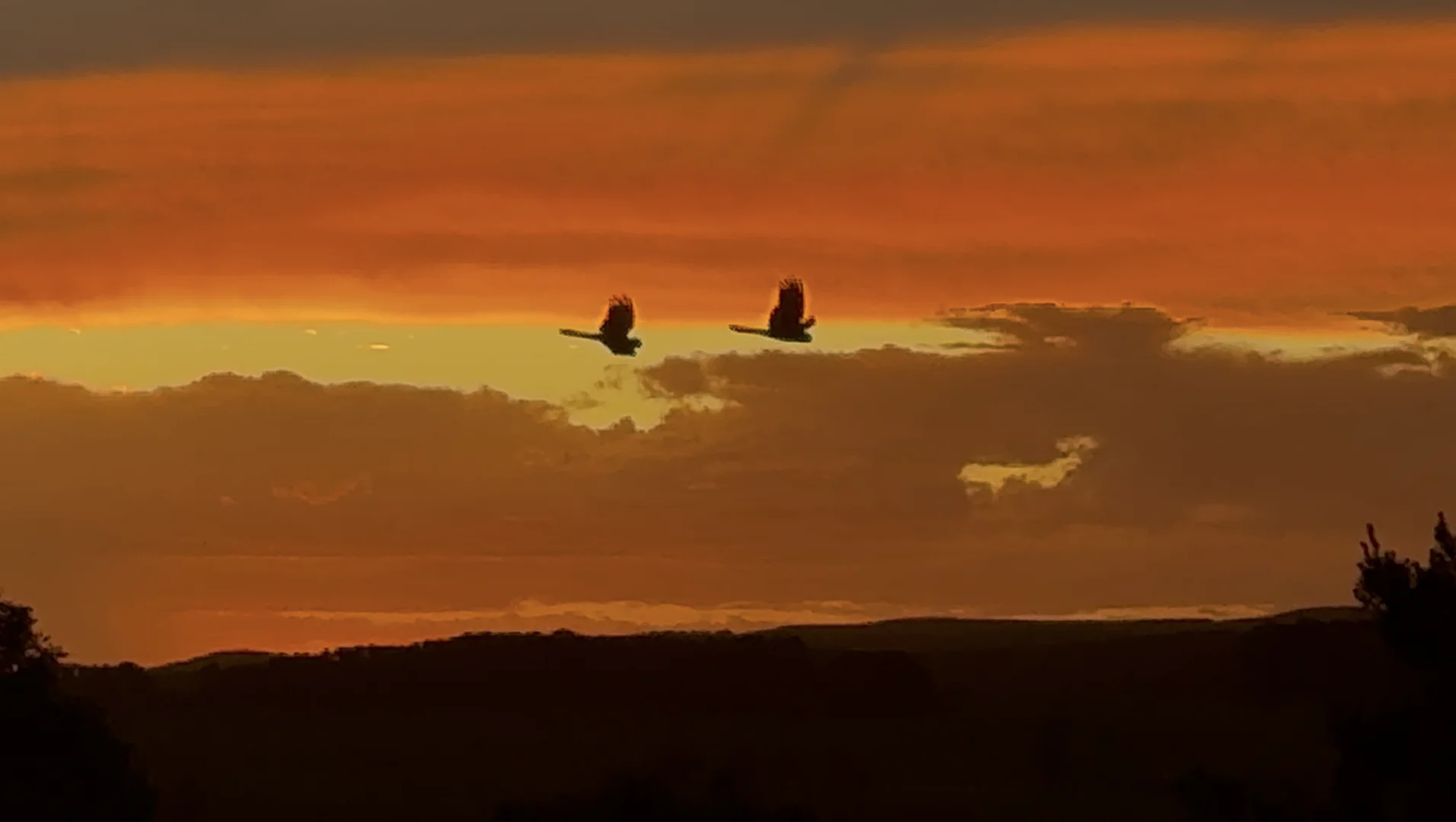 Additional image 22 of 363 Sheepstation Forest Road, Gingkin NSW 2787