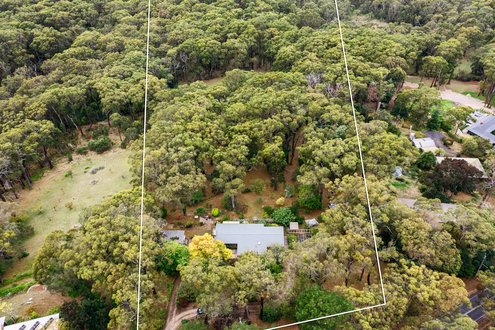 Additional image 16 of 209 Point Leo Road, Red Hill South VIC 3937