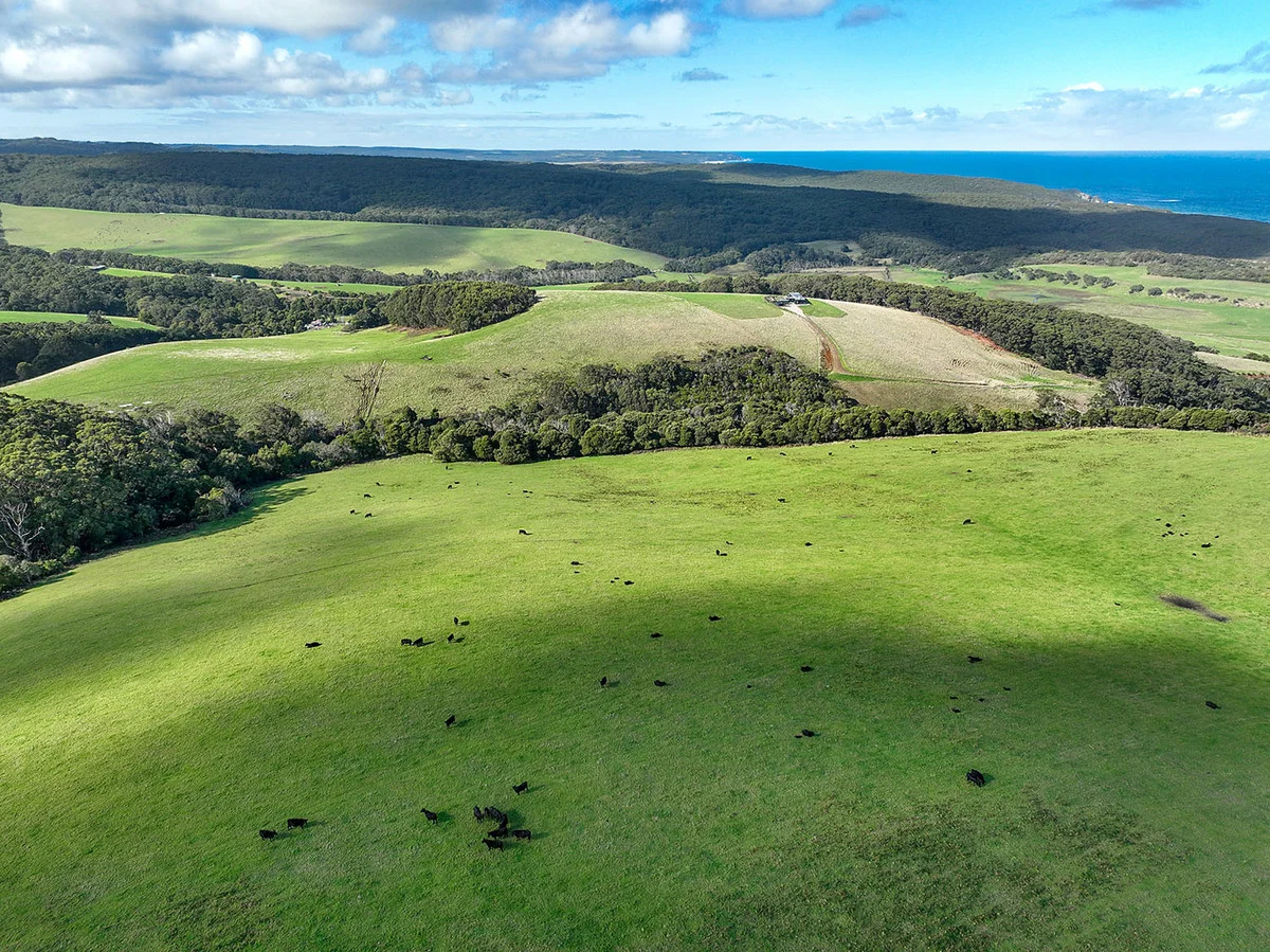 Additional image 10 of 105 Stafford Road, Johanna VIC 3238