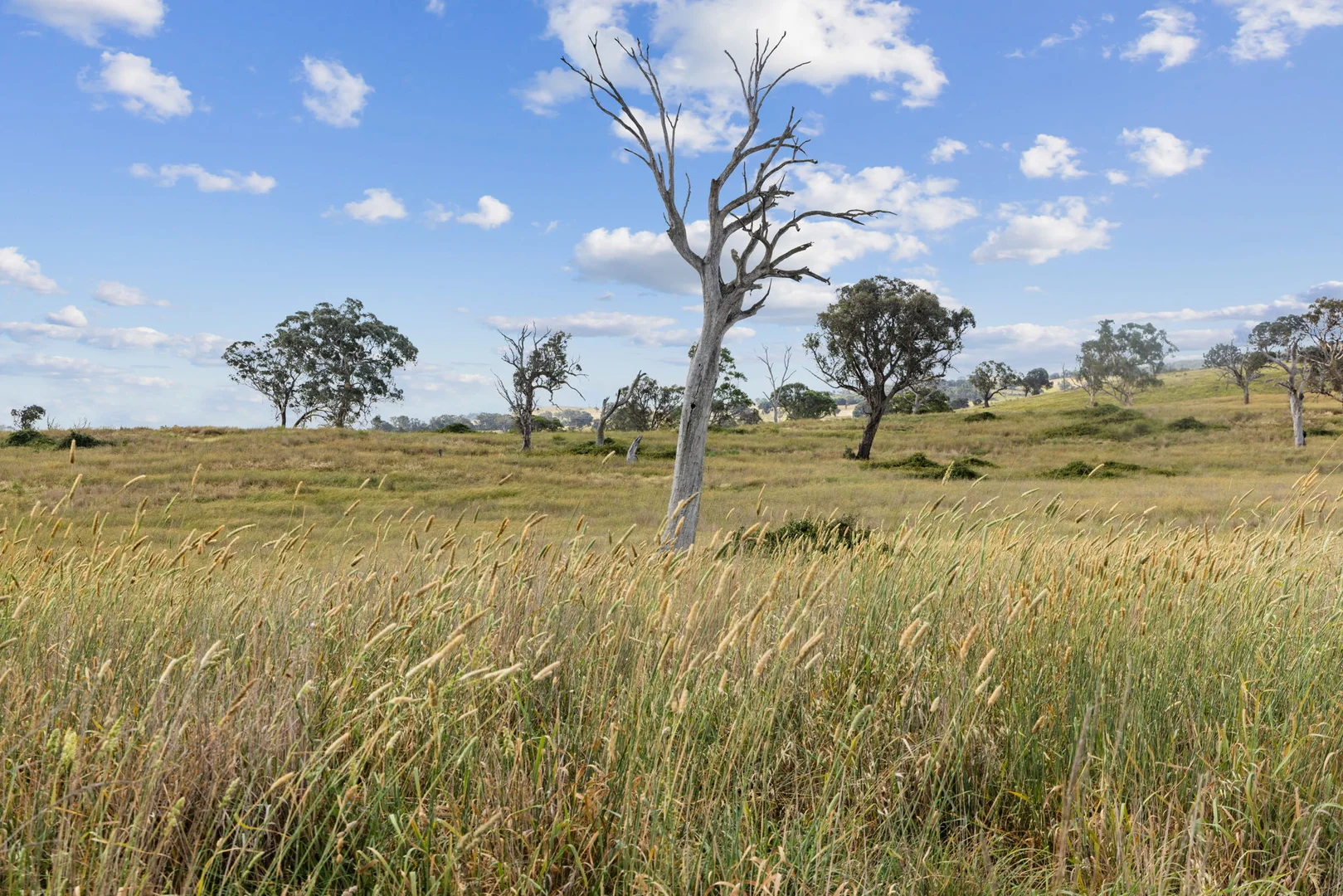 Additional image 44 of 639 Yass River Road, Yass NSW 2582