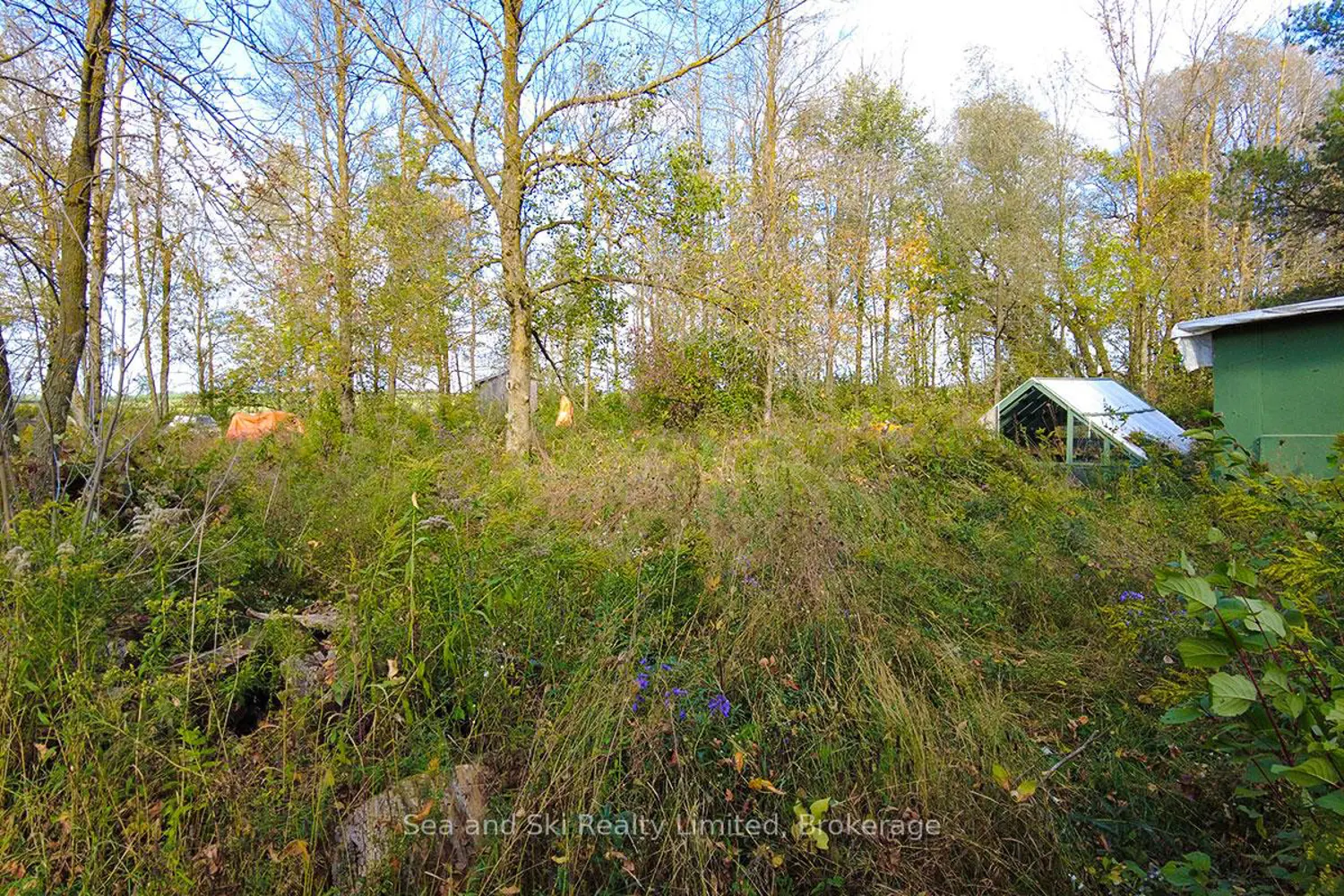 Additional image 7 of 31313 Grey Road 14 Road