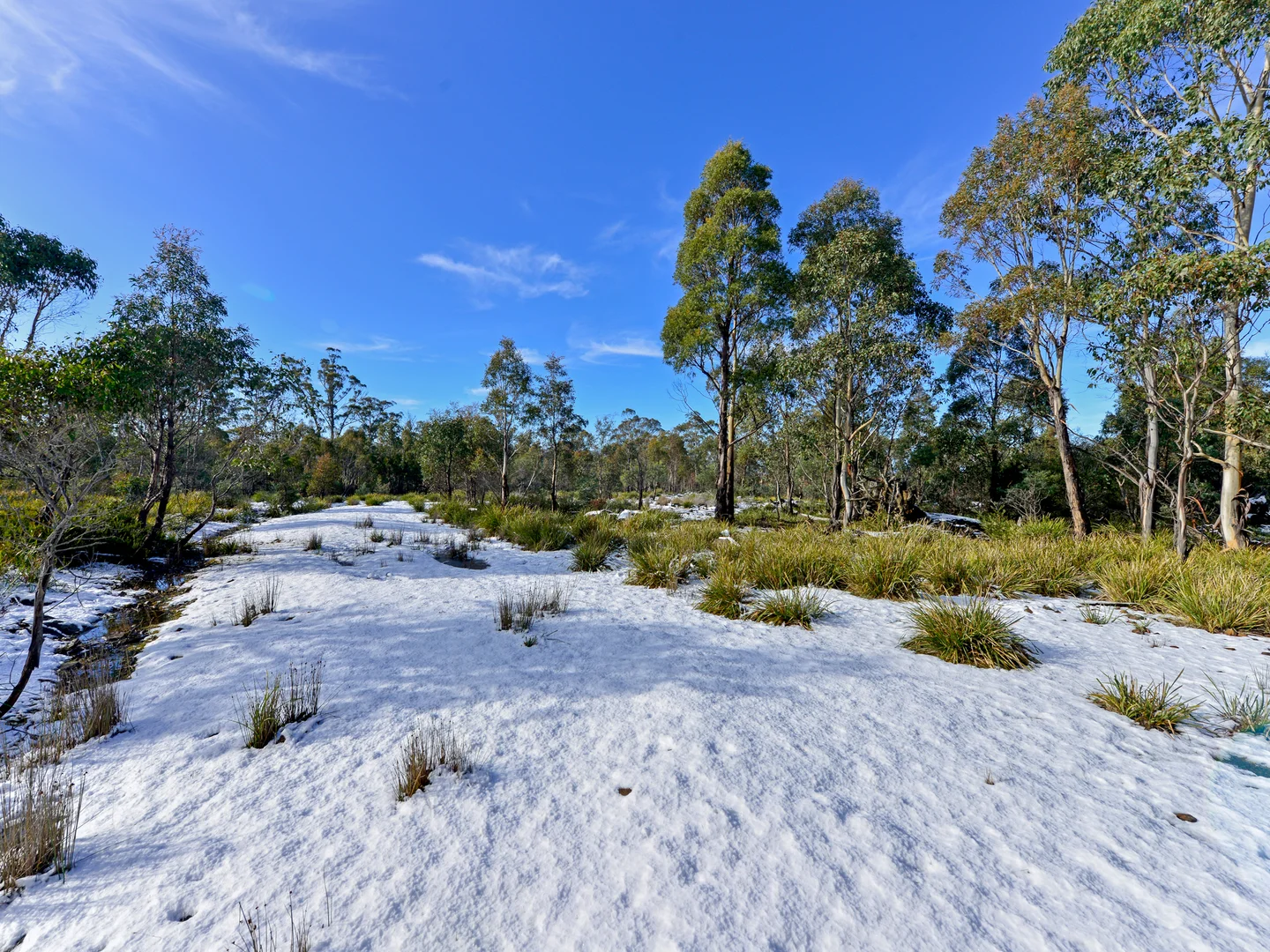 Additional image 19 of 172 Mcguires Marsh Road, Osterley TAS 7140