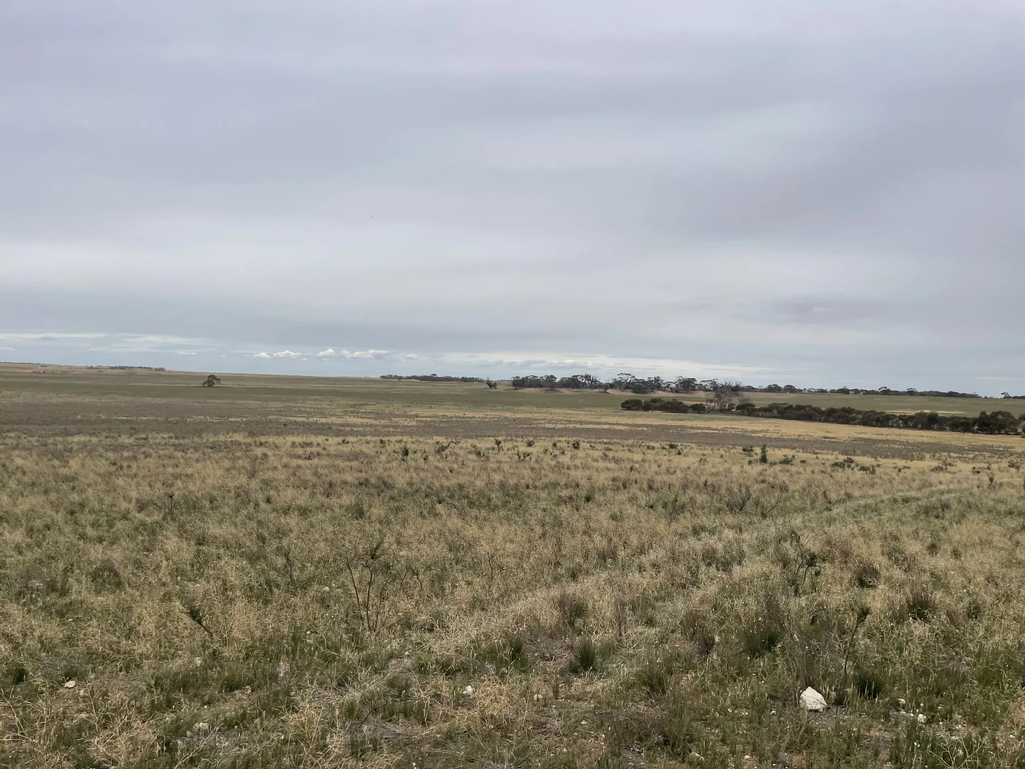 Additional image 14 of 2440 Black Hill Road, Black Hill SA 5353