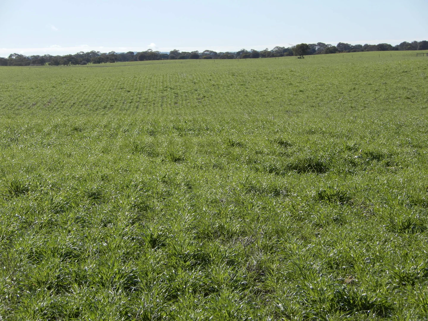 Additional image 22 of 252 Jabez Williams Road, Meningie SA 5264