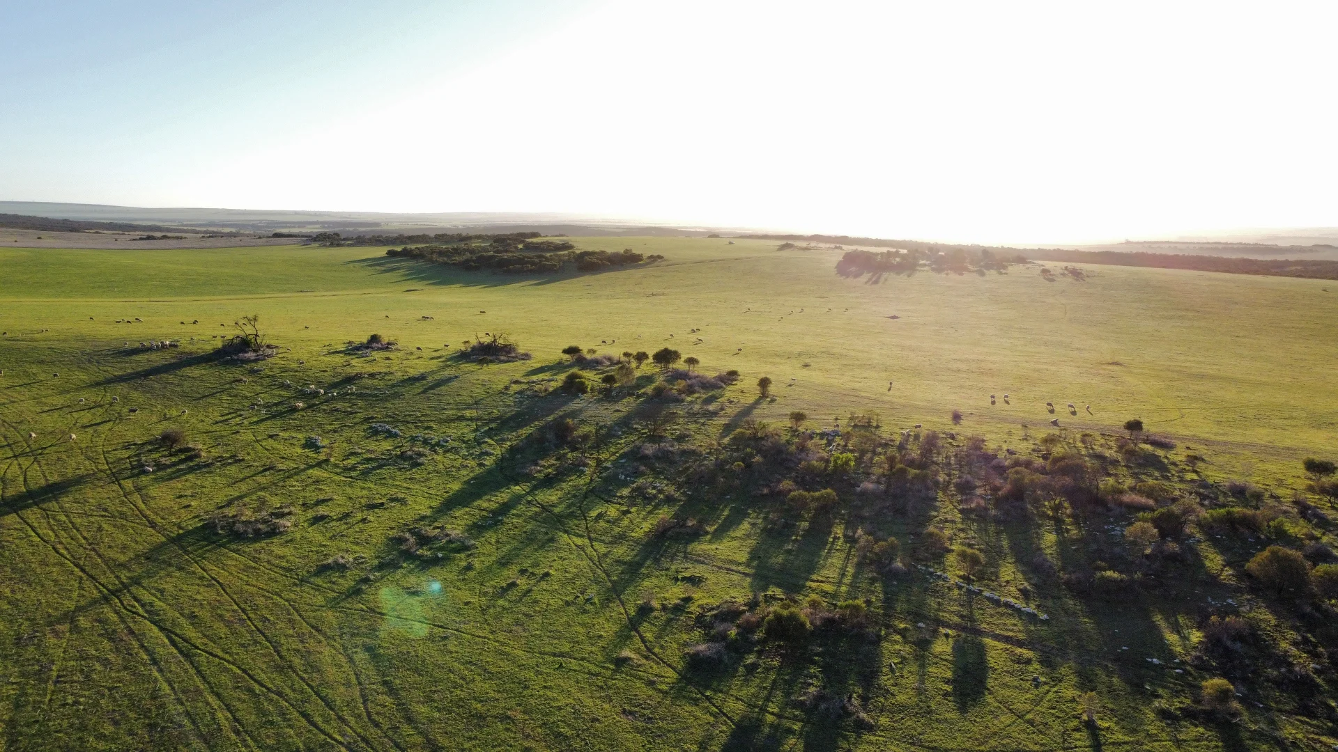 Additional image 3 of 161 Water Supply Road, Bookara WA 6525