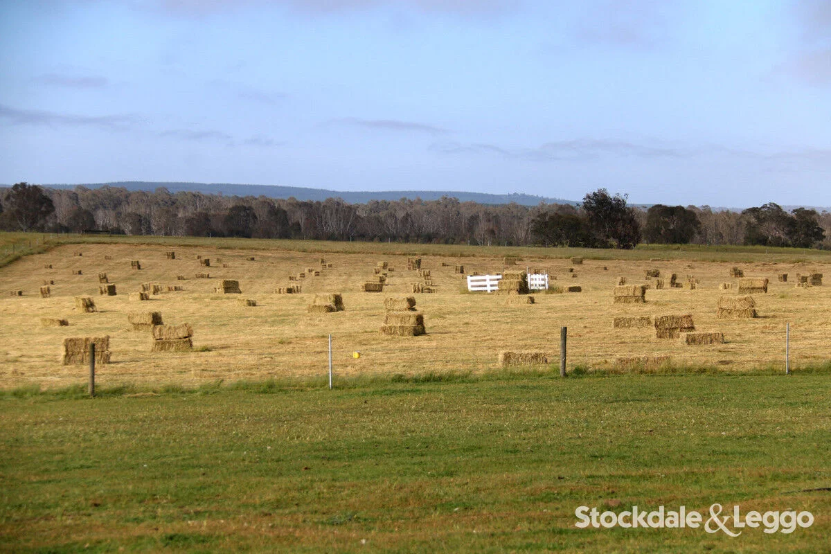 Additional image 34 of Pearsondale VIC 3851