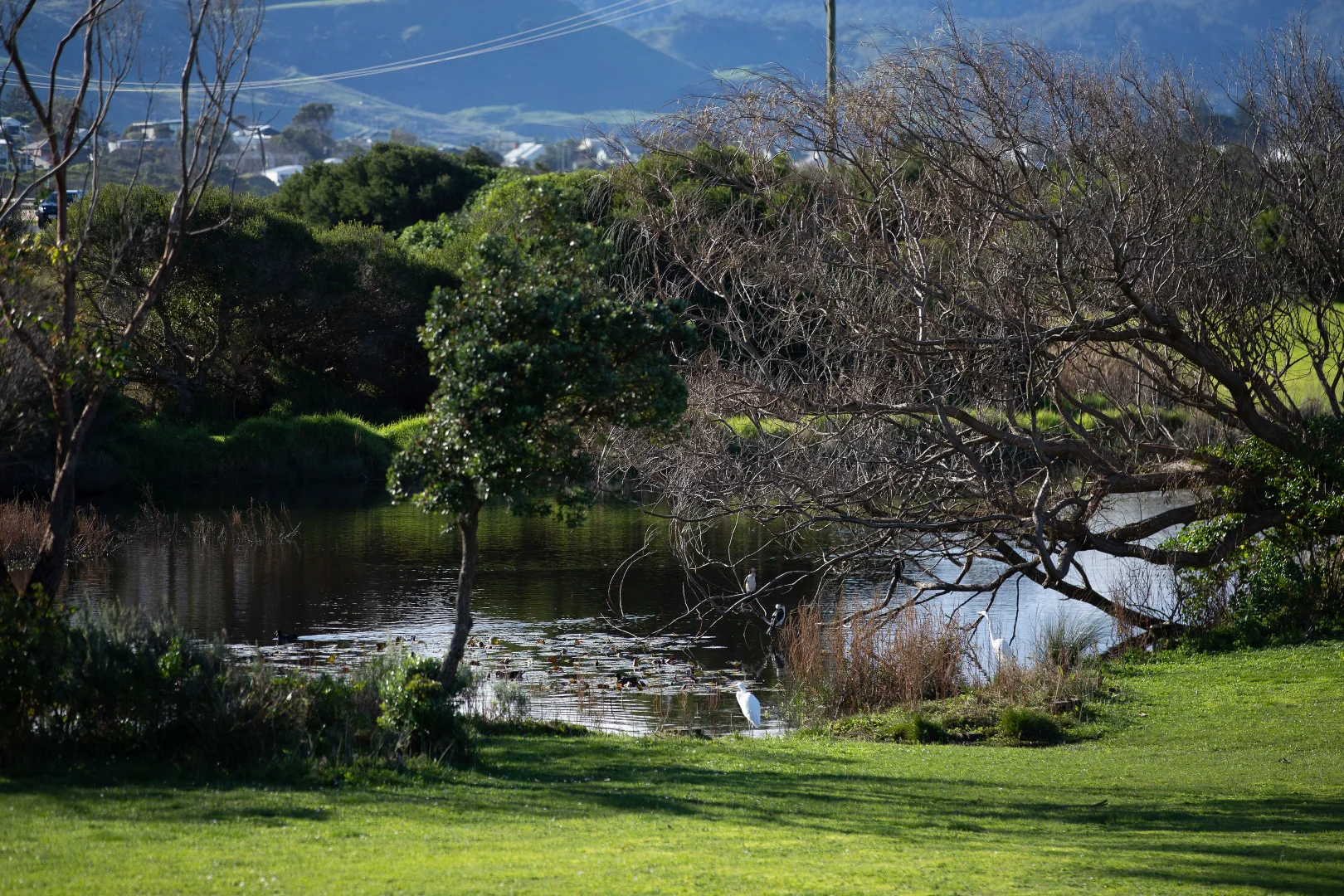 Additional image 22 of 5/2-6 Great Ocean Road, Marengo VIC 3233