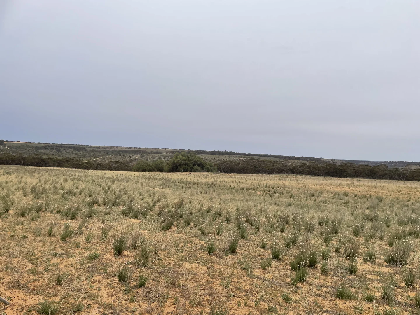 Additional image 7 of 2440 Black Hill Road, Black Hill SA 5353