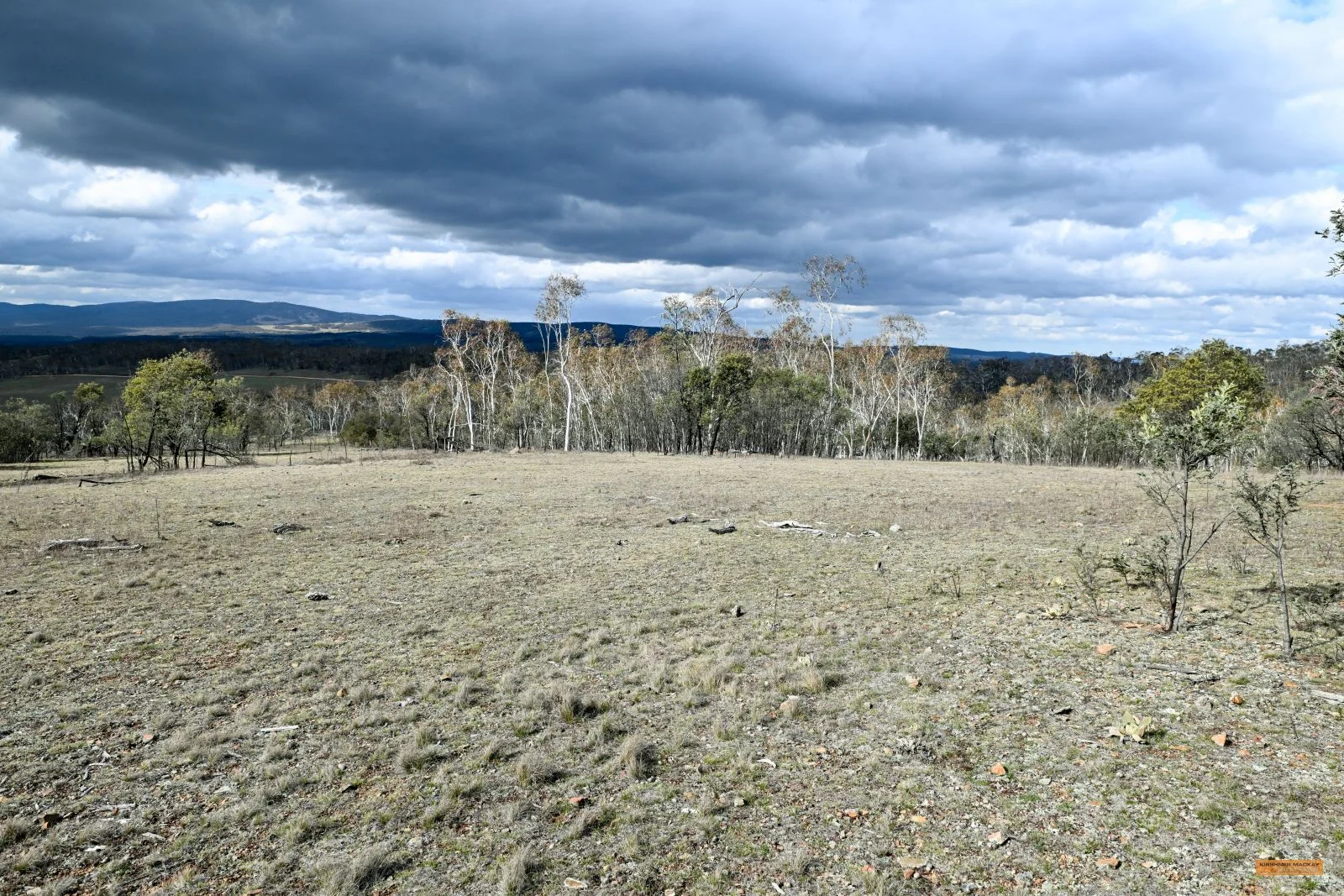 Additional image 40 of "Eagle Heights" 636 Caddigat Road, Dry Plain NSW 2630