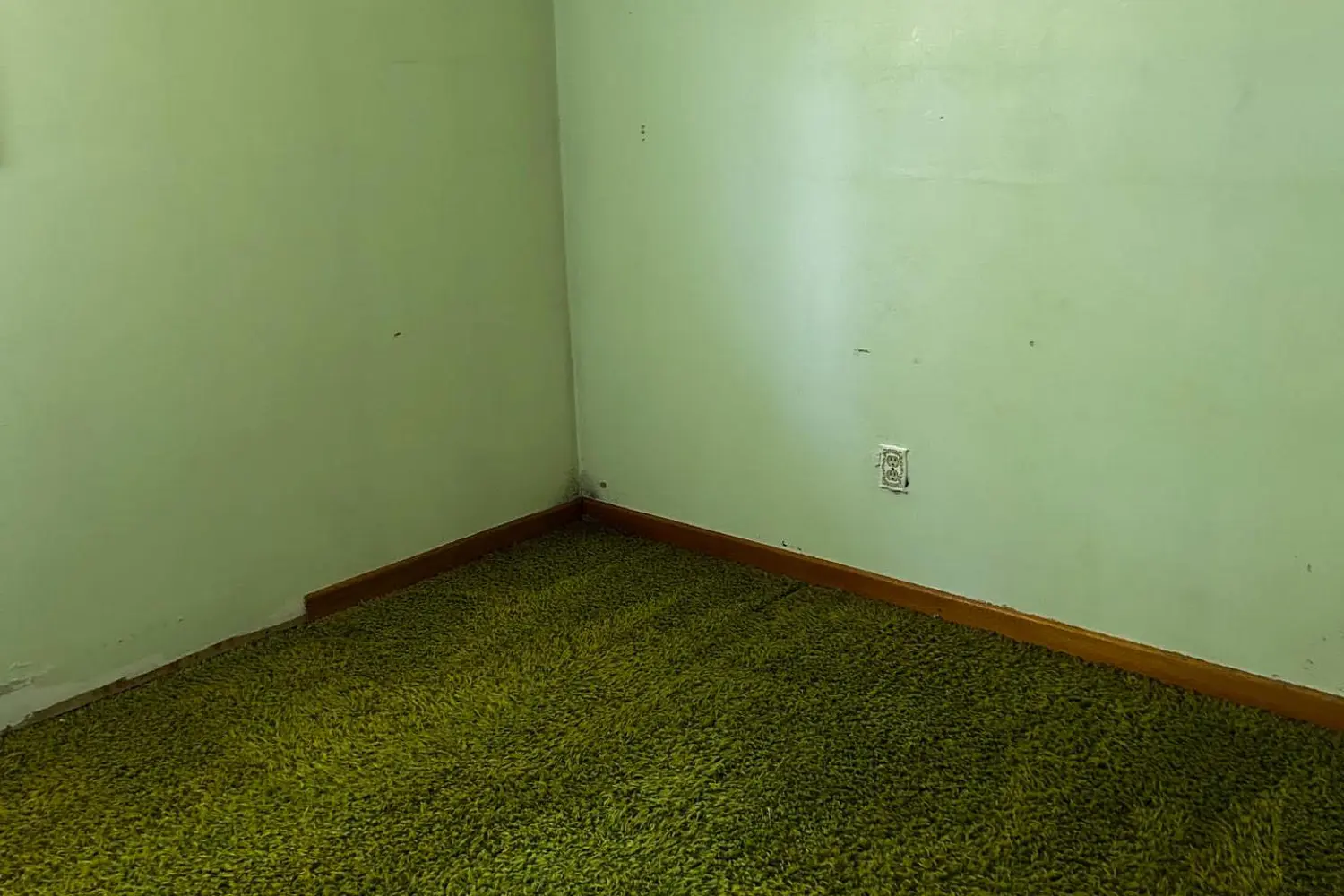 Additional image 8 of 220 Eden Grove Road