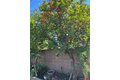Additional image 45 of 11508 Old River School Rd, Downey, CA, 90241