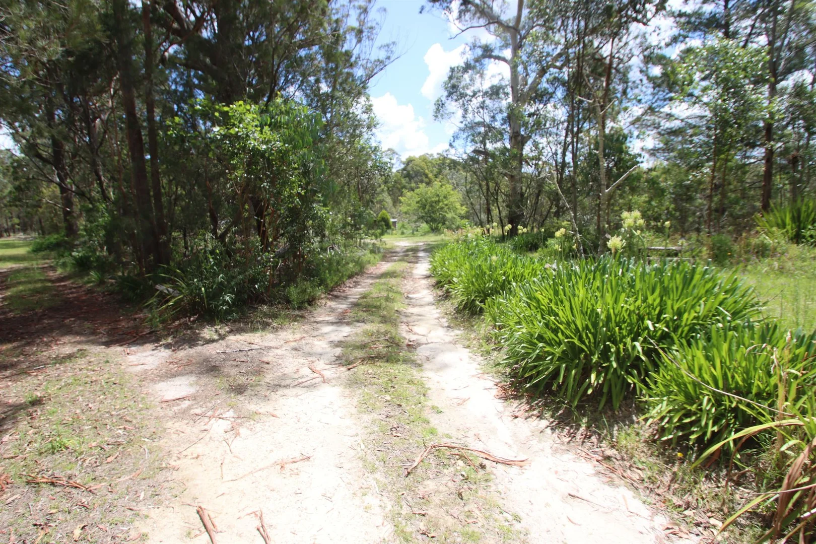 Additional image 24 of 2994 Mount Lindesay Road, Tenterfield NSW 2372