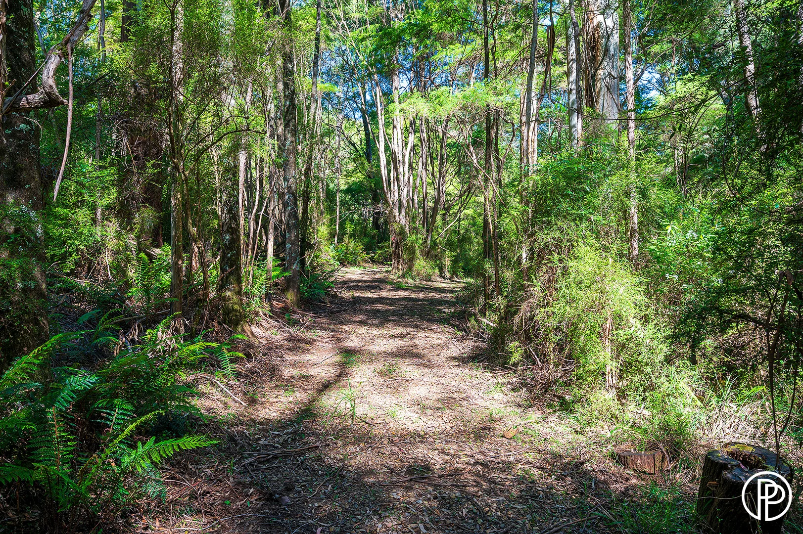 Additional image 2 of 475 Old Warburton Road, Warburton VIC 3799