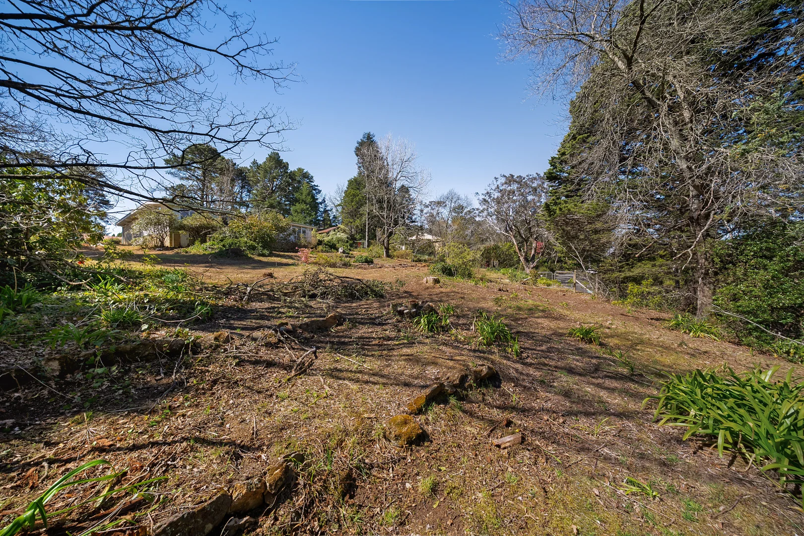 Additional image 8 of 1 Apanie Lane, Wentworth Falls NSW 2782